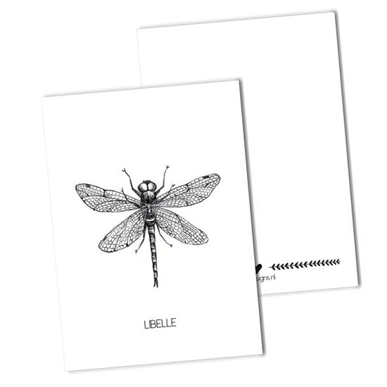BDdesigns - Dragonfly Card