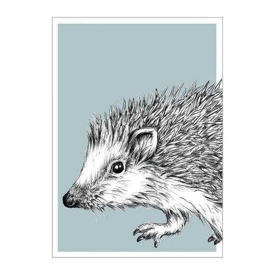 BDdesigns - Wildlife Hedgehog Card