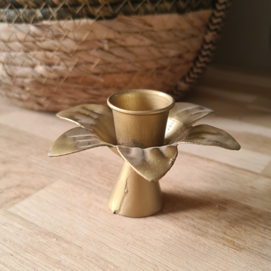 Candlestick Flower