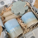 Cadeaubox Spring pastel pistache