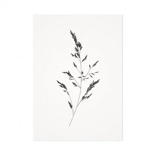 Mélisse - Kaart Het beemdgras