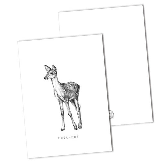 BDdesigns - Red Deer Card