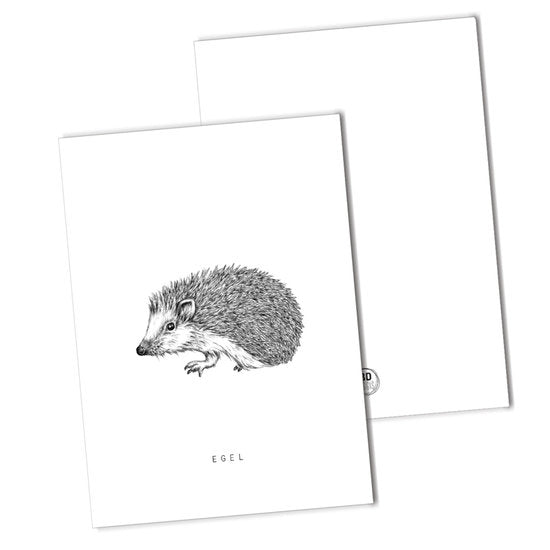 BDdesigns - Hedgehog Card