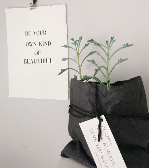 Op de Maalzolder - Poster Be your own kind of beautiful