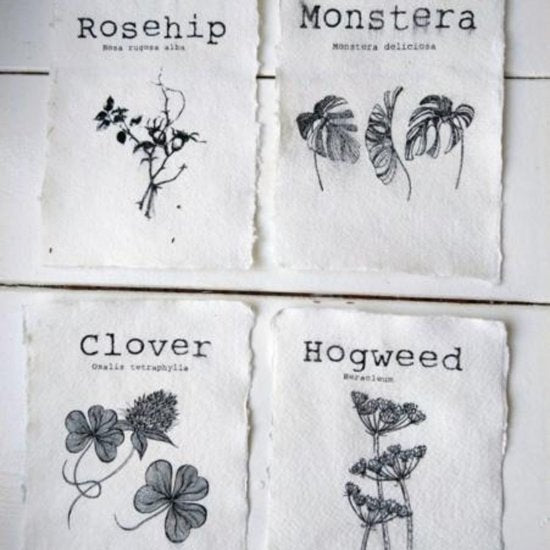 In the Attic - Botanical Cards (set of 4)