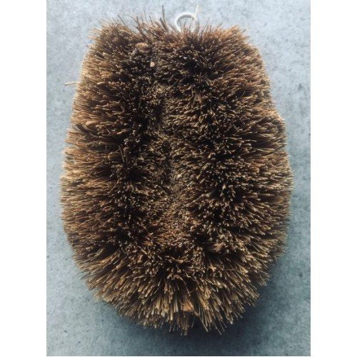 My Style - Coconut Vegetable Brush