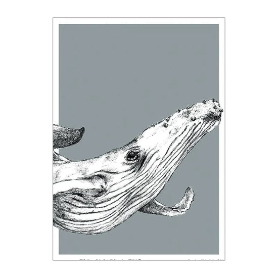 BDdesigns - Wildlife Whale Card