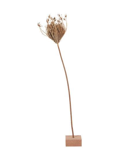 My Style - Holder for dried flowers wood S