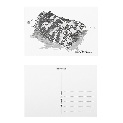 My Style - Moth Card
