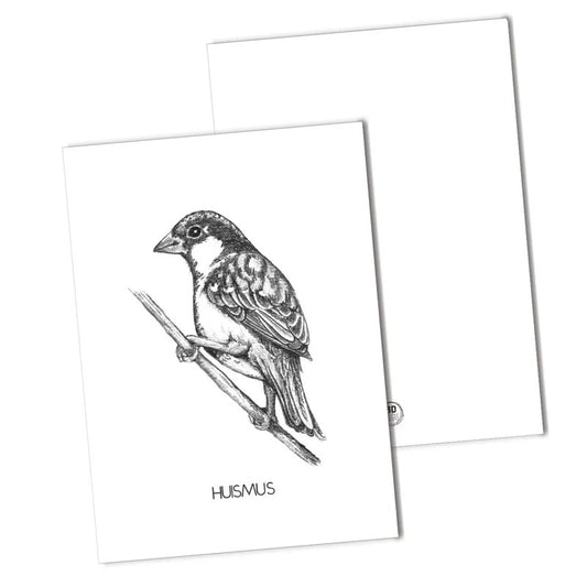 BDdesigns - Haussperling-Karte
